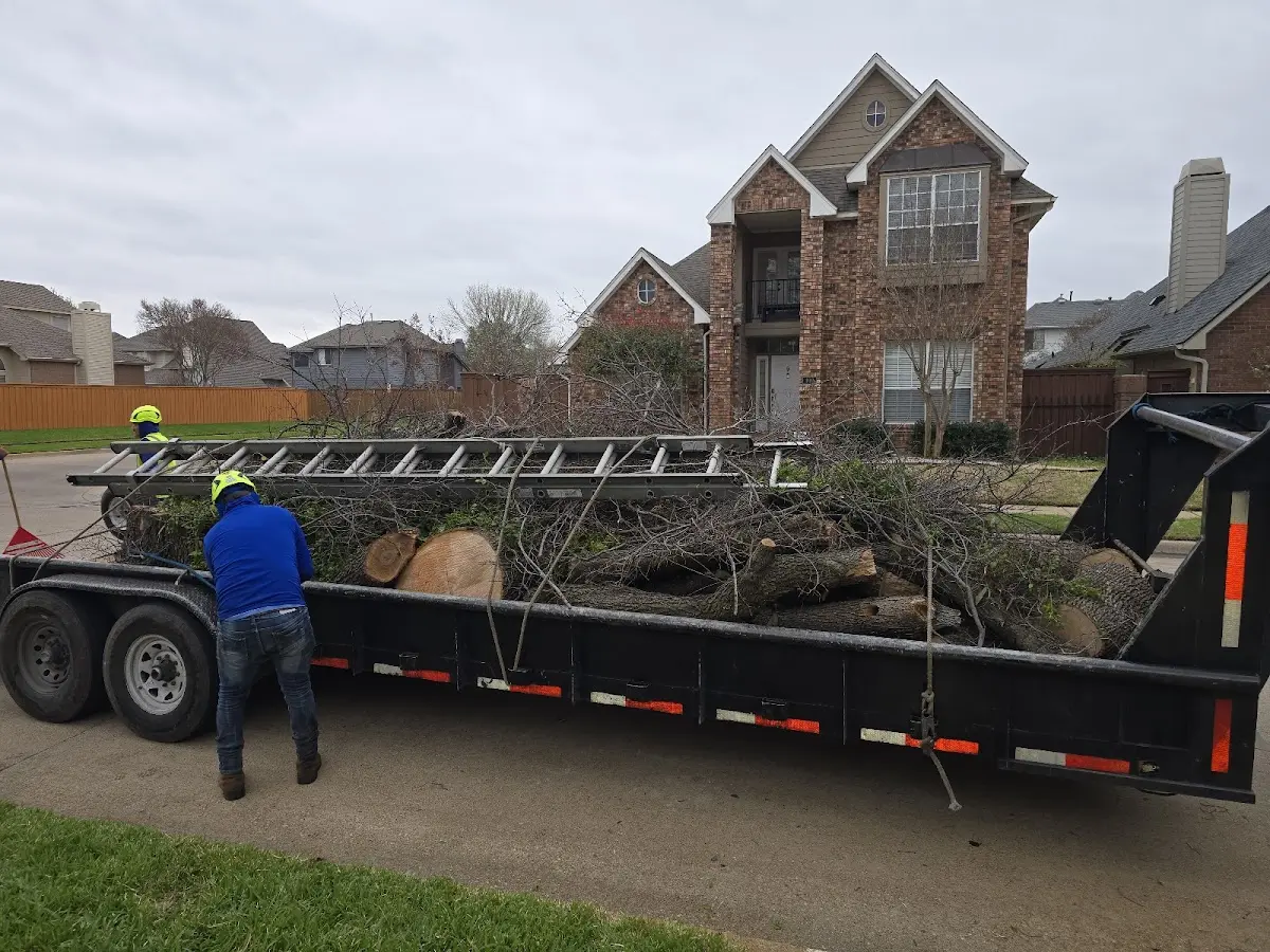 Expert Tree Removal with proper safety equipment in Stockbridge